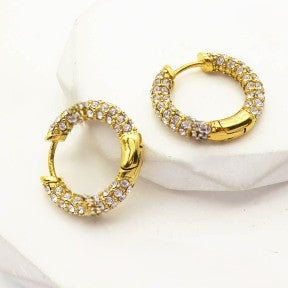 Sunlit Hoops